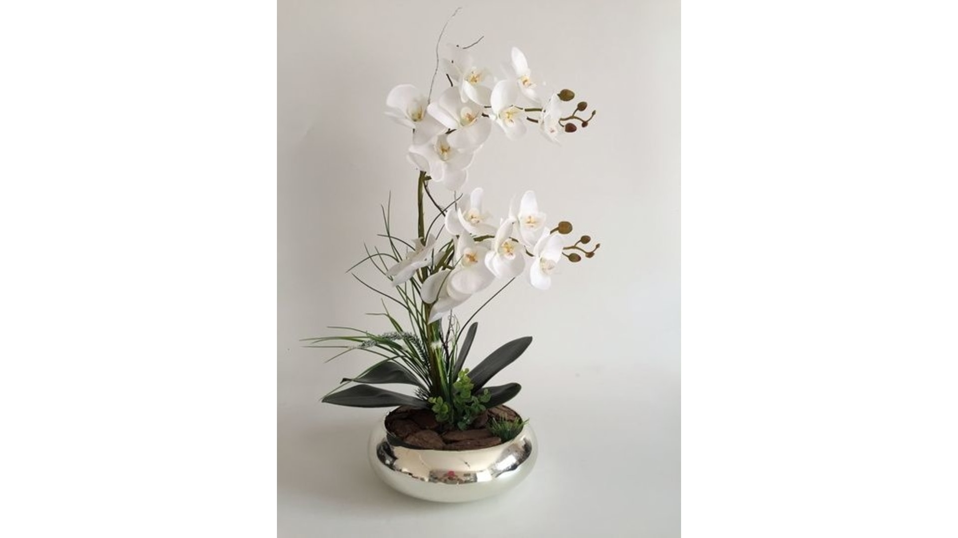 CJ Decor plantas,CJ Decor arvores,CJ Decor floresCJ Decor verde